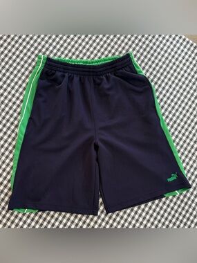VINTAGE Puma Mesh Shorts Men’s L. Navy/Green Retro 2000’s Athletic Gym Track